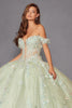 Juliet Fashion JT1485J - Quinceanera Dress in Sage Green or Rose Gold