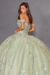 Juliet Fashion JT1485J - Quinceanera Dress in Sage Green or Rose Gold