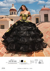 Black and Yellow Floral Embroidered Quinceanera Dress by Ragazza Fashion Style MV49-149