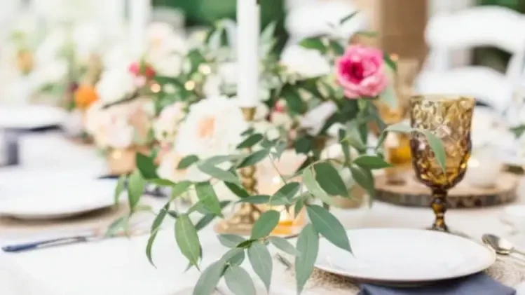 Planning a Chic Backyard Wedding on a Budget. Mobile Image